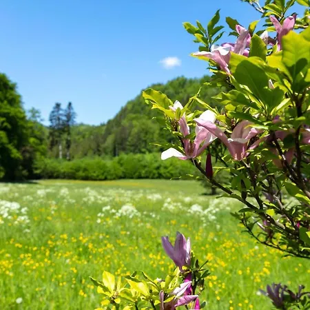 Ganzes Haus Mit Grossem Garten Und Eigener Sauna * Unterwössen