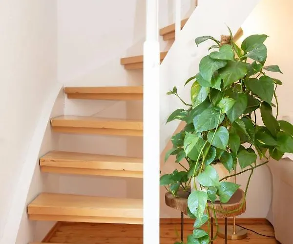 Ganzes Haus Mit Grossem Garten Und Eigener Sauna Hébergement de vacances Unterwössen