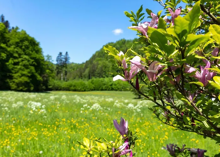 Ganzes Haus Mit Grossem Garten Und Eigener Sauna * Unterwössen
